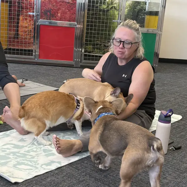 Guests enjoying puppy yoga at K9 Rox Club